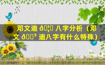 邓文迪 🦆 八字分析（邓文 🐳 迪八字有什么特殊）